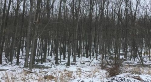 019 Kickapoo Dr, Hazle Township, PA 18202