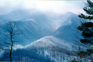 501 Bryant Mountain Rd, Roseland, VA 22967-2136