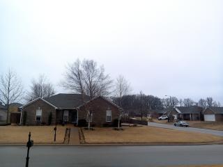 105 Livingston Cv, Medina, TN 38355-6874
