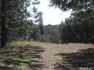 4685 Esmo Rd, Greenwood, CA 95635-9510