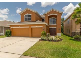 2618 Holly Pine Cir, Orlando, FL 32820-2282