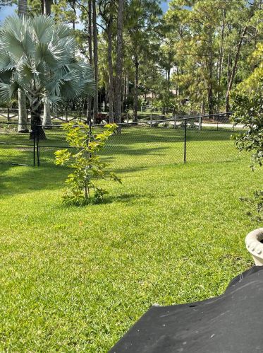 17148 78th Rd, Town Of Loxahatchee Groves FL  33470-5808 exterior