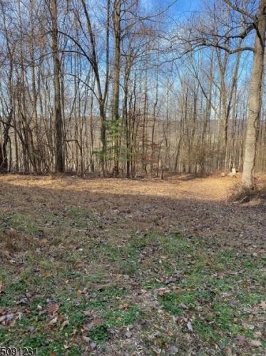 103 Turtleback Rd, Califon, NJ 07830-3511