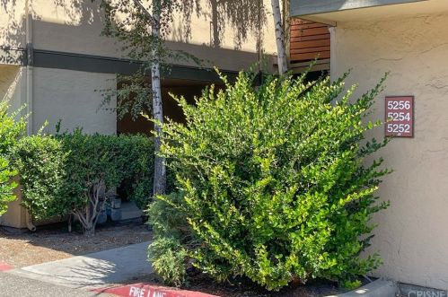 5252 Makati Cir, San Jose CA  95123-6255 exterior