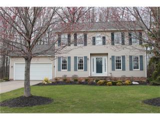 1135 Dartmouth Dr, Concord Township, OH 44077-5281