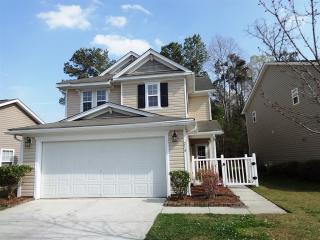 214 Chemistry Cir, Ladson SC  29456-5259 exterior