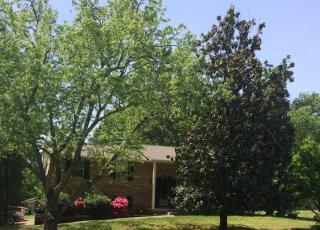1505 Bexhill Dr, Knoxville, TN 37922-6013