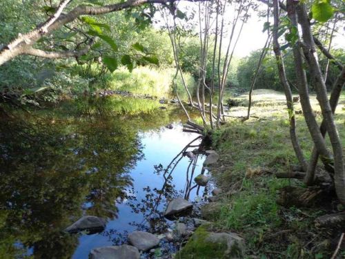 14209 County Road C, Parrish, WI 54435