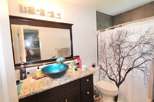 8438 Bay Oak Ct, Orlando FL  32810-1804 exterior