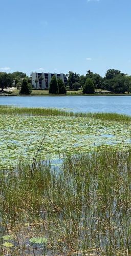 208 Lake Howard Dr, Winter Haven FL  33881-3157 exterior