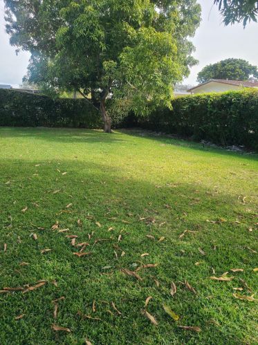 11710 18th St, Hollywood FL  33026-2058 exterior