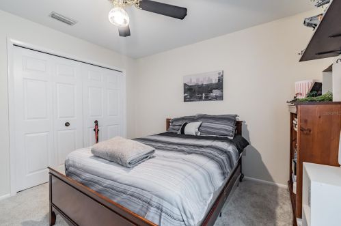 3664 Darston St, Palm Harbor FL  34685-1182 exterior