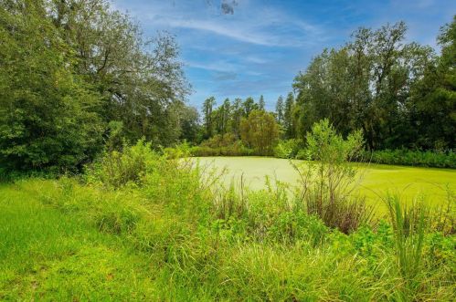 14010 Wp Ln, Thonotosassa FL  33592-4204 exterior