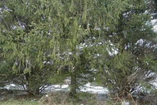 3250 Appleton Rd, Landenberg, PA 19350-1243