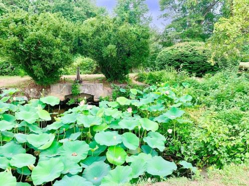 40 Web Ave, North Kingstown RI  02852-6822 exterior