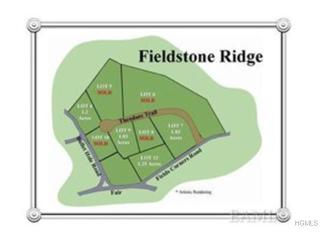 21 Theodore Trl, Kent Lakes, NY 10512-6174