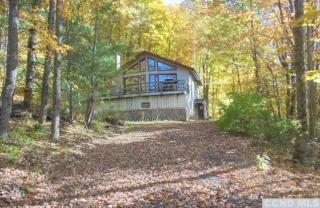 316 Diamond Notch Rd, Lanesville, NY 12450-1109