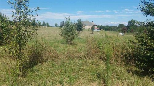 231 Arena Park Dr, Inman SC  29349-7169 exterior