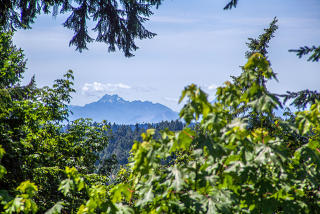 23326 75th Ave, Woodinville, WA 98072-9759