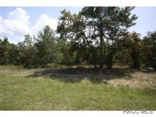 11 Corkwood Blvd, Homosassa, FL 34446-4909