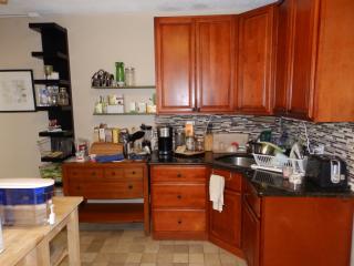 215 Pastorius St, Philadelphia PA  19144-3201 exterior