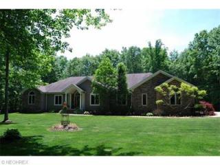 12885 Greystone Dr, Hiram, OH 44234-9691