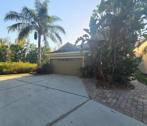1721 Horsechestnut Ct, New Port Richey, FL 34655-5308