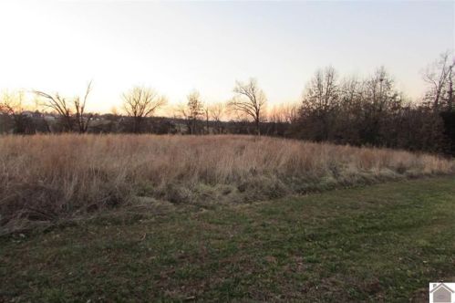 2 Sally Ln, Dogwood, KY 42051-9162