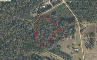 145 Peach Ct, Havana, FL 32333-6151
