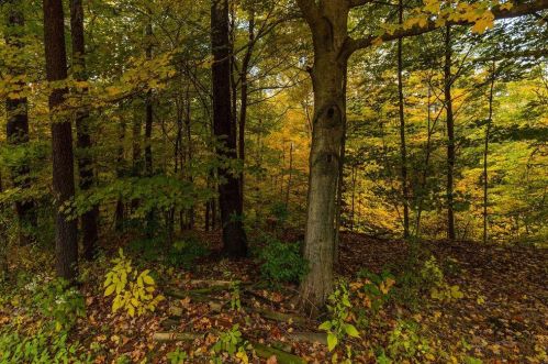 7991 Windsome Ct, Blacklick OH  43004-8104 exterior