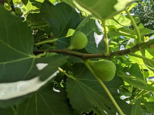 1087 Via Verona Dr, Chico CA  95973-1030 exterior