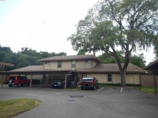 862 Creekway Ct, Brandon, FL 33511-7319