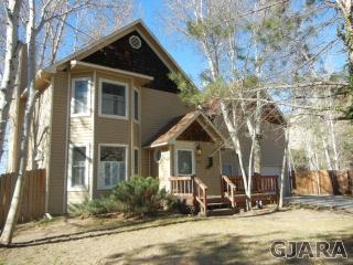 558 Cicero Dr, Palisade, CO 81526-9713