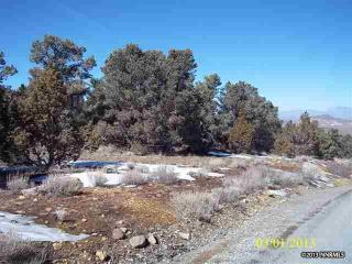 1510 Yellowjacket Rd, Reno, NV 89521-7170