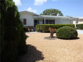 4332 Belleville Ave, Tarpon Springs, FL 34691-1701