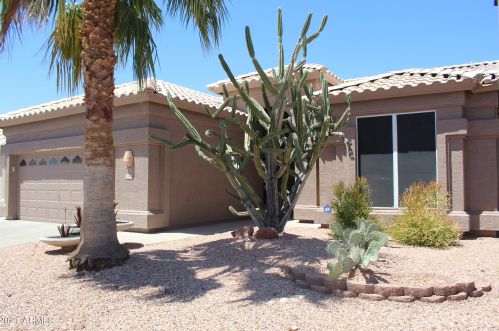 11557 Mountain Lion Ct, Sun City, AZ 85378-2573