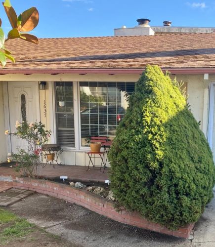1637 Hickory Ave, San Bruno, CA 94066-2941