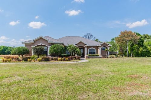 10019 Outlaw Way, Land O Lakes, FL 34639-8121