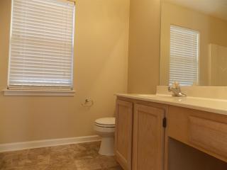 401 Windy Meadow Way, Simpsonville SC  29680-7051 exterior