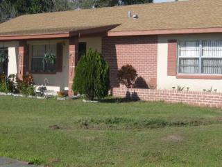 943 Alaska Woods Ln, Orlando, FL 32824-8835