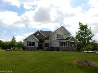 7623 Rimrock Rd, Medina, OH 44256-6206