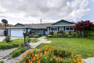 285 Moneta Way, Campbell CA  95008-3619 exterior