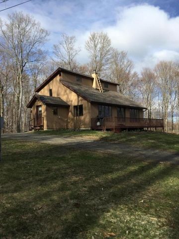 948 14th Rd, Minerva, NY 12851-1922
