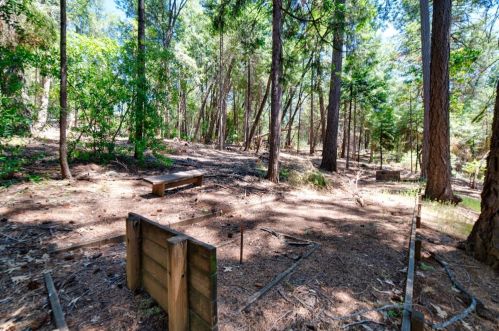 5043 Virginia Bird Mine Ct, Michigan Bluff CA  95631-9733 exterior