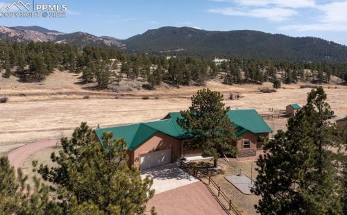 226 Surrey Ln, Twin Rock, CO 80816-8834