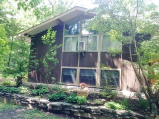 19 Crow Ridge Rd, Reidsville, NY 12186-5000