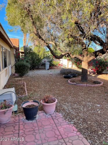 26037 Hollygreen Dr, Chandler AZ  85248-7254 exterior