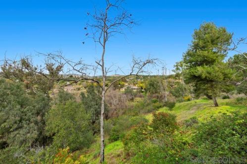 3170 Via De Caballo, Encinitas CA  92024-6925 exterior
