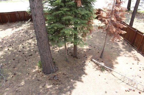 1681 Tionontati St, South Lake Tahoe CA  96150-4902 exterior