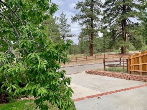 1108 Mount Doble Dr, Big Bear City, CA 92314-9786